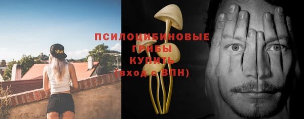 соль курить ск Алзамай
