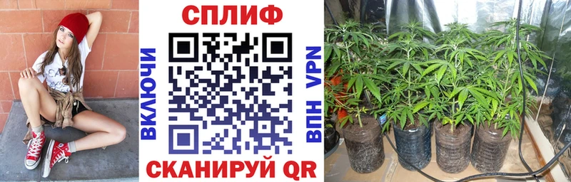 Канабис Amnesia  Кремёнки 